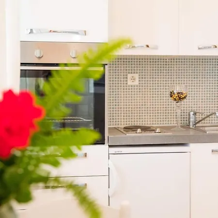 Appartement Vidak - With Terrace And Sea View - A2 *